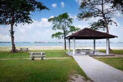 Lagoon View (D15), Apartment #608062801